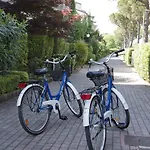 Lauri&faggi